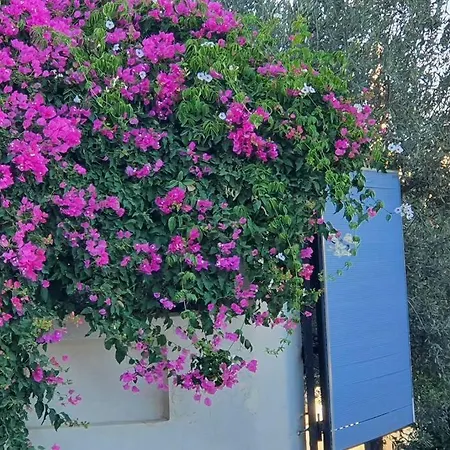 με υπέροχη θέα Kounoupi * Porto Cheli