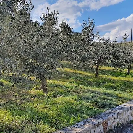 Appartement με υπέροχη θέα Kounoupi *