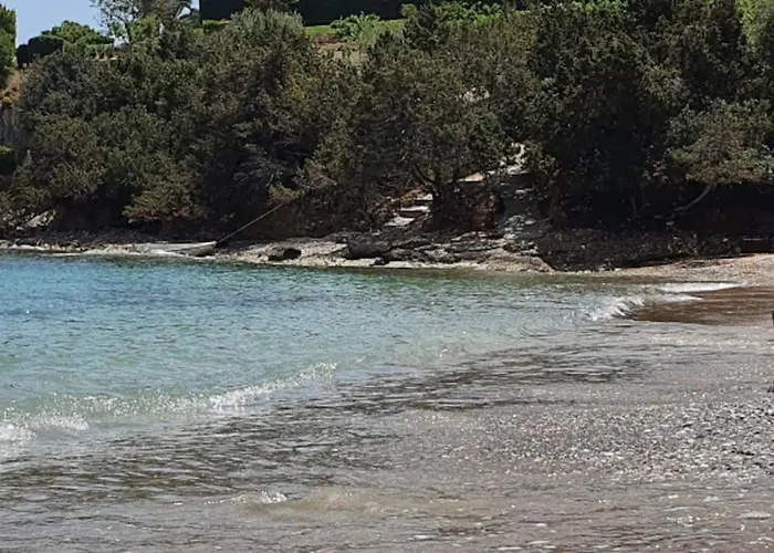아파트 με υπέροχη θέα Kounoupi *
