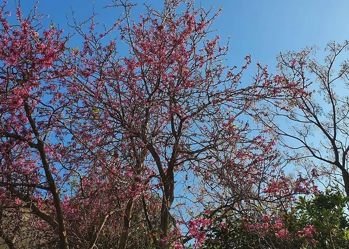 με υπέροχη θέα Kounoupi 아파트 포르토헬리