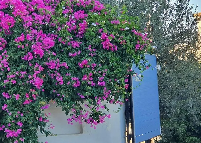 με υπέροχη θέα Kounoupi * פורטו הלי