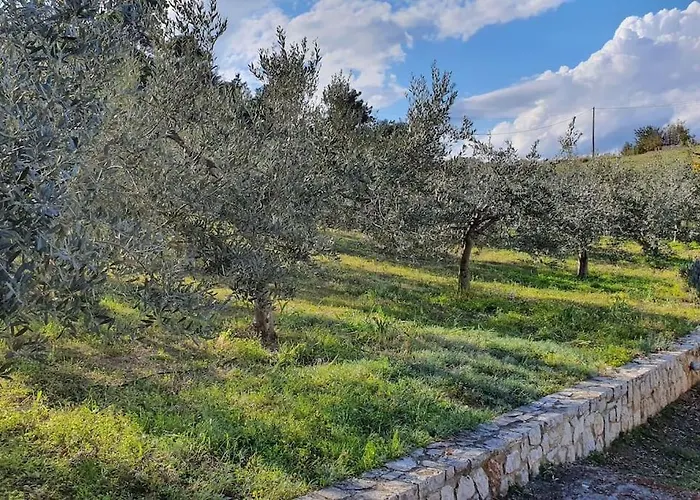 Apartman με υπέροχη θέα Kounoupi *
